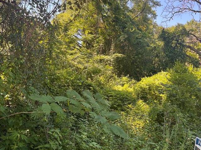 Land for sale in Henderson, Texas