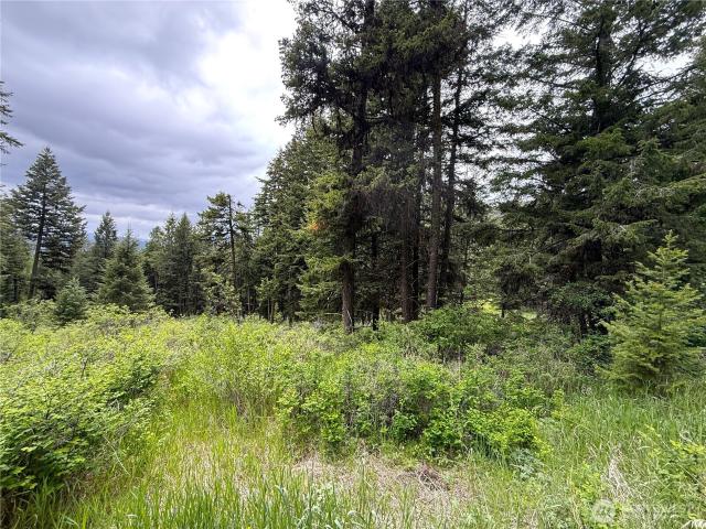 Land for sale in Oroville, Washington