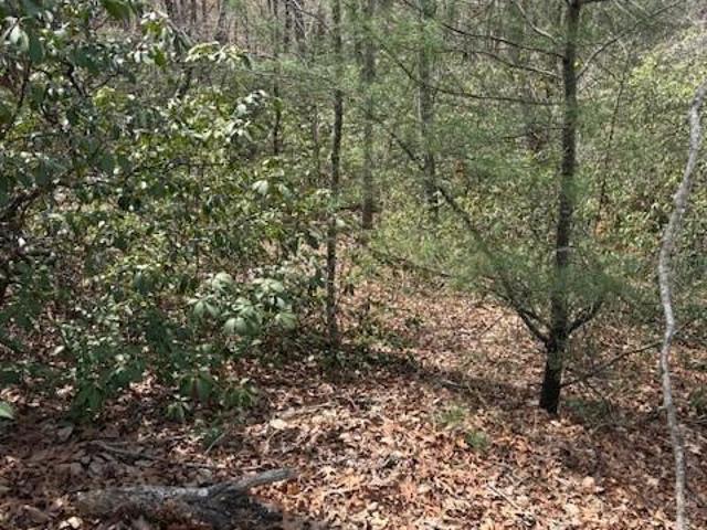 Land for sale in Rutherford, North Carolina