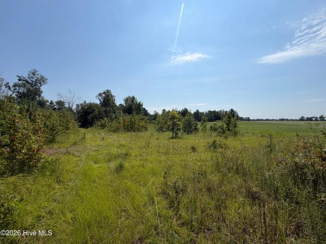 Land for sale in Blythe, Burke County