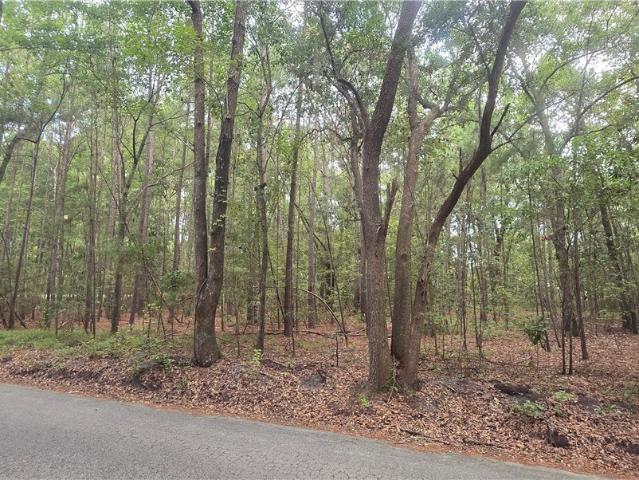 Land for sale in Guyton, Georgia