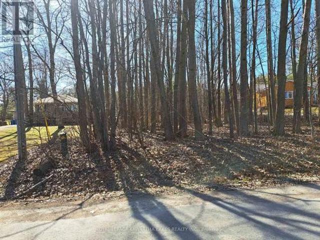 Land for sale in Bailieboro, Ontario