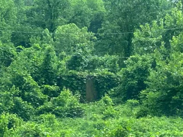 House for rent in Helena