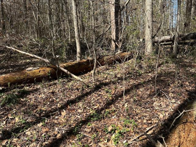 Land for sale in Carnesville, Georgia