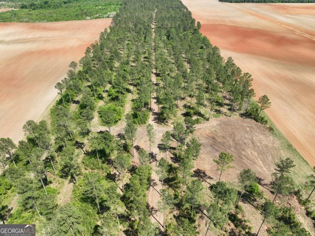Land for sale in Byromville, Georgia