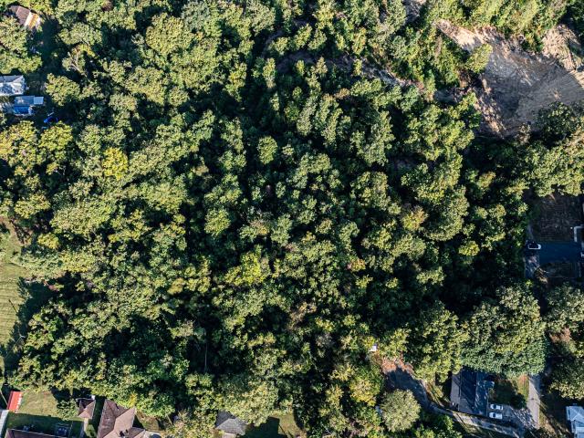 Land for sale in Central City, Kentucky