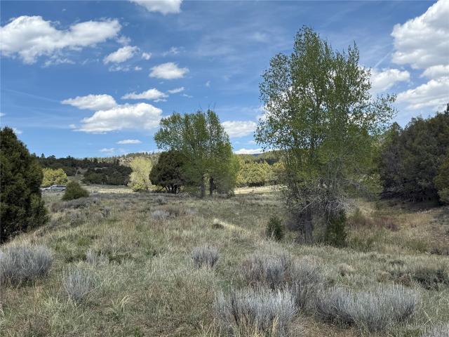 Land for sale in Chama, New Mexico