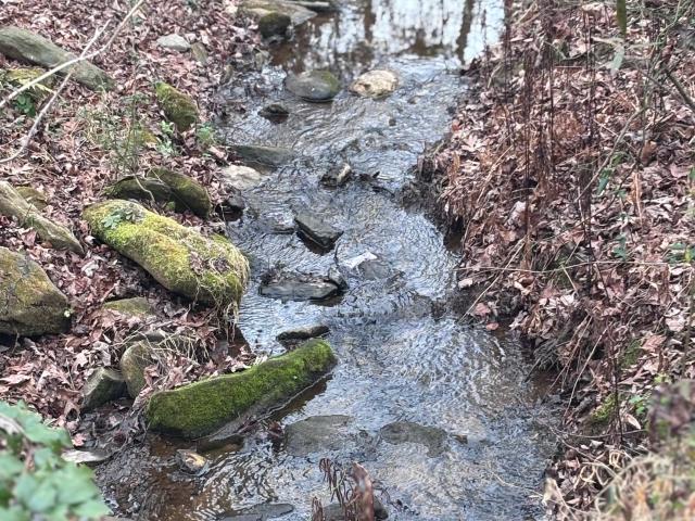 Land for sale in Maysville, Georgia