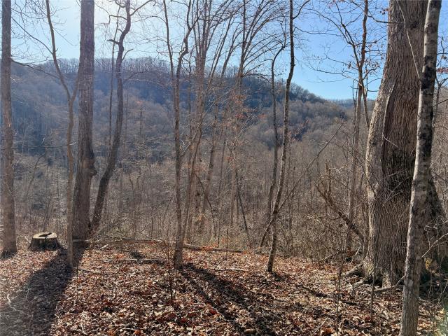Land for sale in Sylva, North Carolina