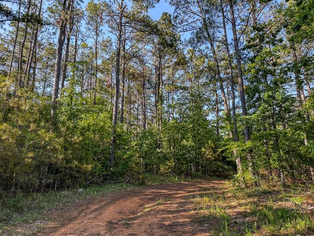 Land for sale in Tennessee