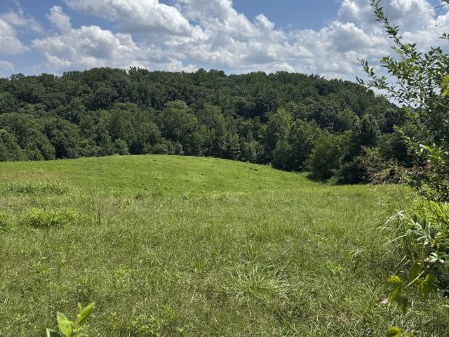 Land for sale in Smithville, Middle Tennessee