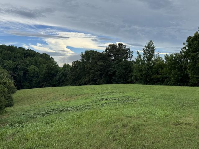 Land for sale in Smithville, Middle Tennessee
