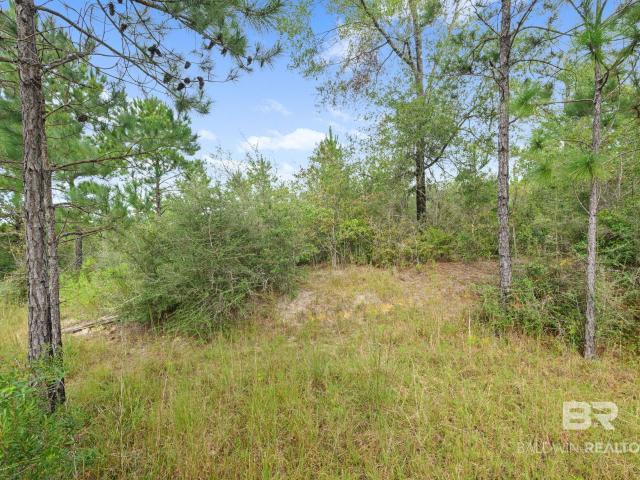 Land for sale in Mobile County Commission District 2, Semmes