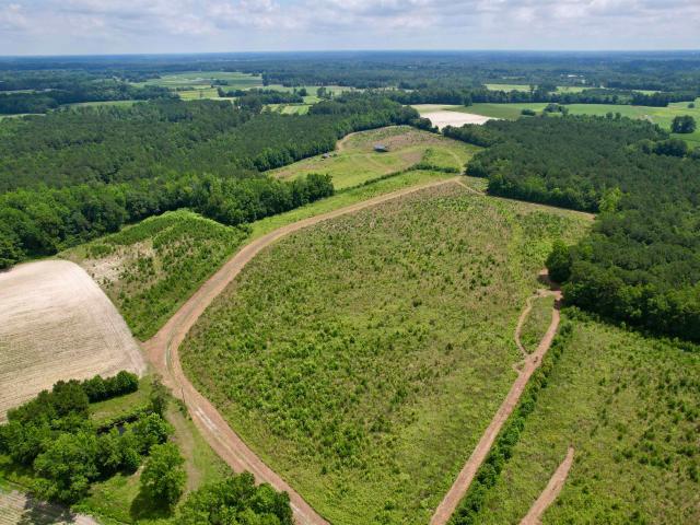 Land for sale in Green Sea, South Carolina