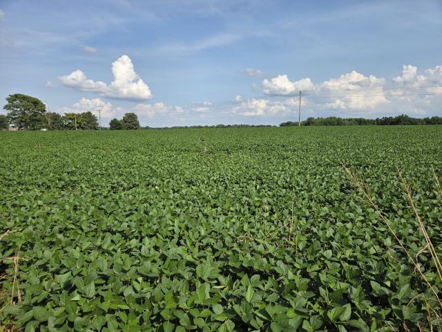 Farm for sale in Tennessee