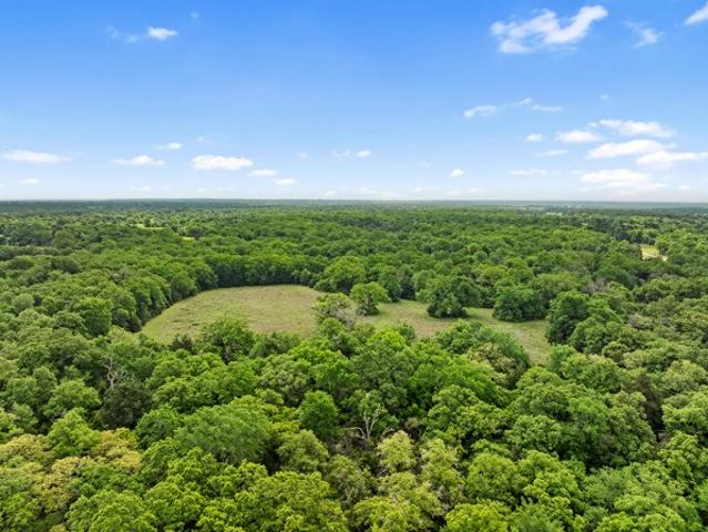 Land for sale in Leon, Texas