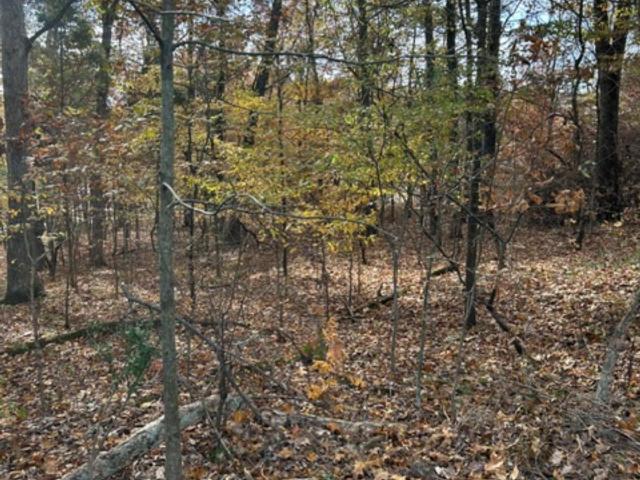 Land for sale in Santa Claus, Spencer County