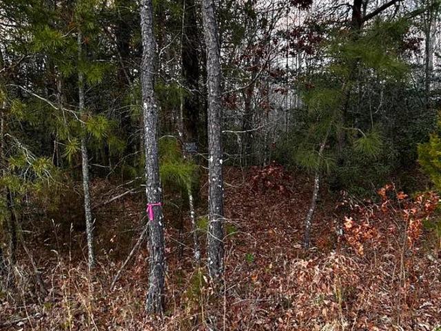 Land for sale in Virginia