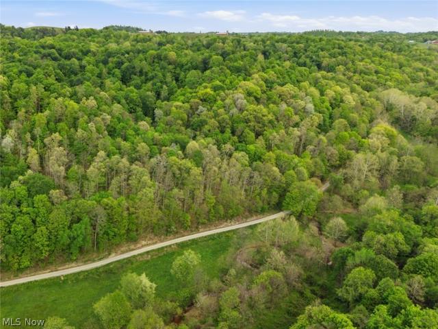 Land for sale in Clarington, Ohio