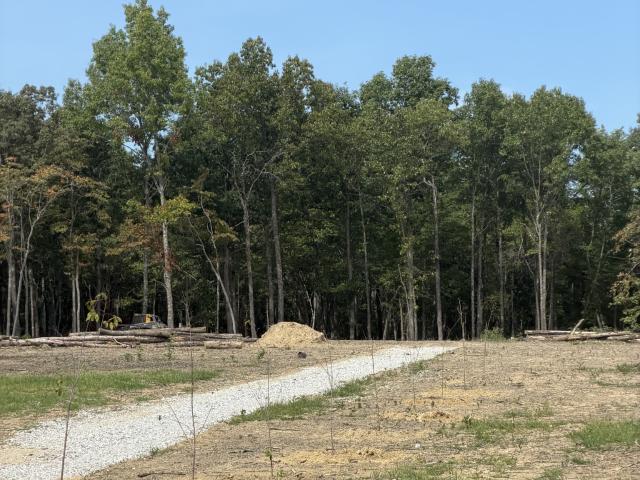 Land for sale in Hollow Springs, Middle Tennessee