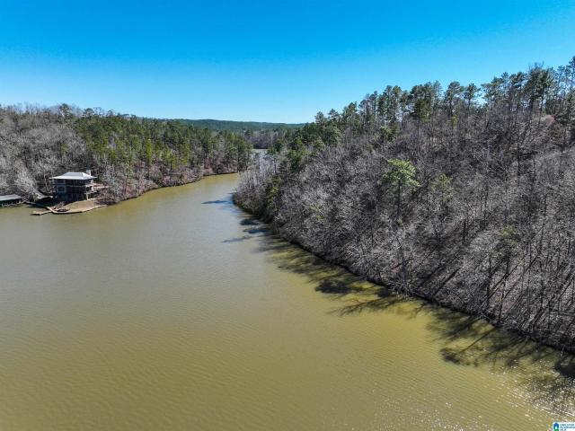 Land for sale in Equality, Alabama