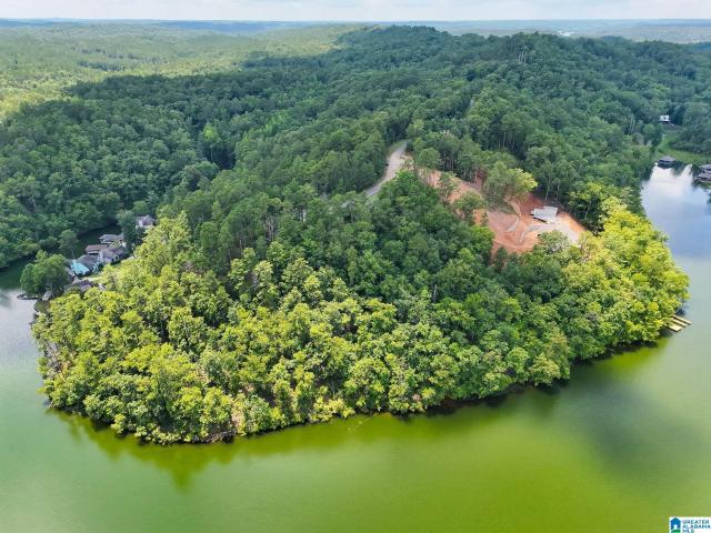 Land for sale in Coosa, Alabama
