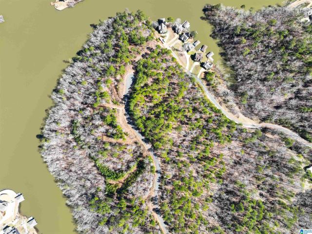 Land for sale in Coosa, Alabama