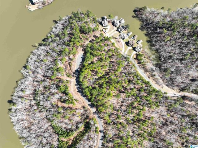 Land for sale in Coosa, Alabama