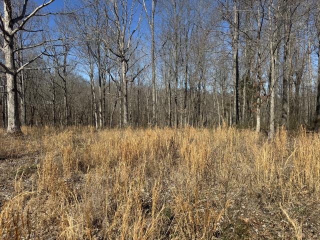 Land for sale in Tennessee
