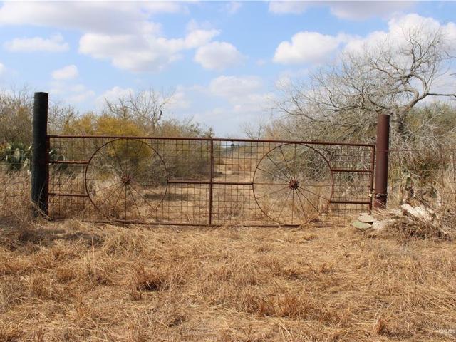 Land for sale in Brooks, Texas