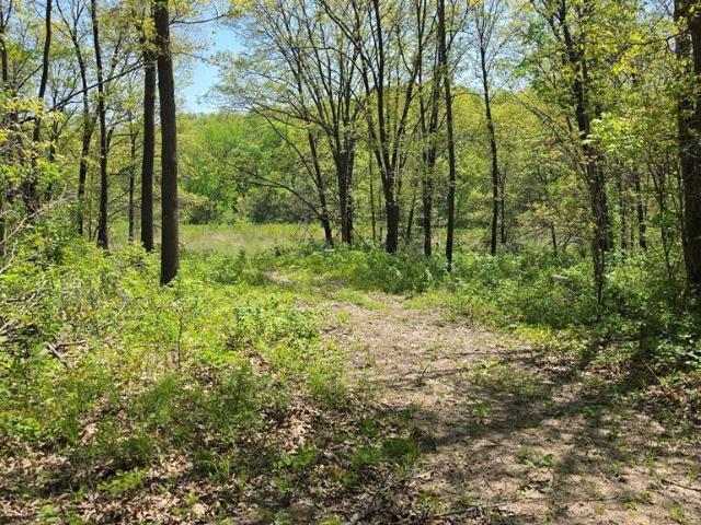 Land for sale in Unionville, Missouri