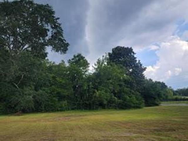 Land for sale in Hawkinsville, Georgia