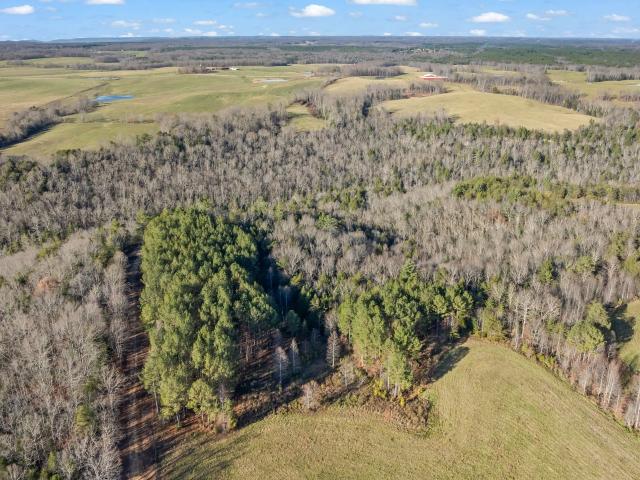 Land for sale in Tennessee