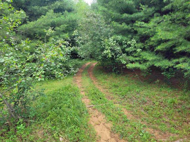 Land for sale in New Hampshire