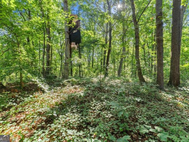 Land for sale in Carnesville, Georgia