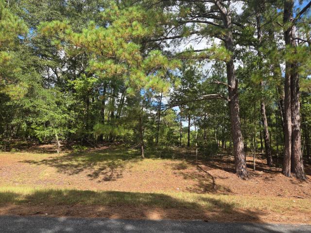 Land for sale in Bowman, Orangeburg County