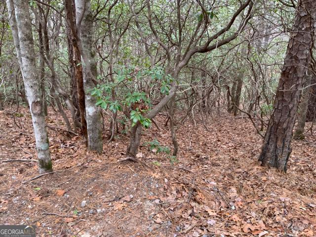 Land for sale in Georgia