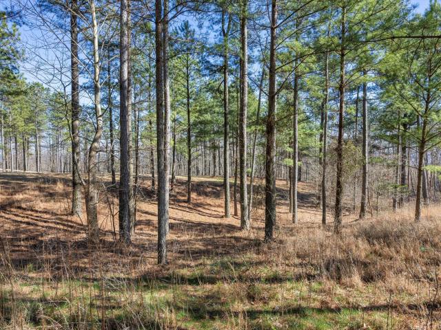 Land for sale in Tennessee