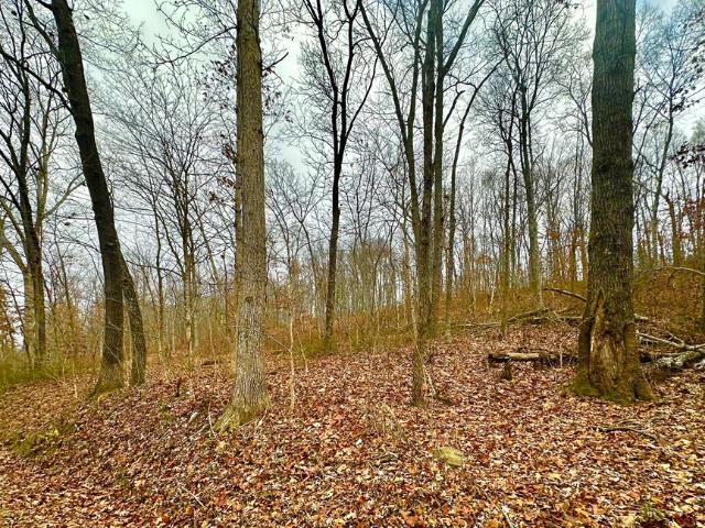 Land for sale in Waverly, Ohio