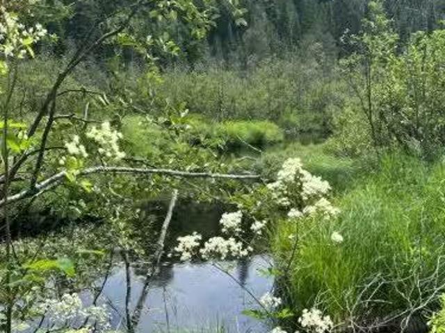 House for sale in Highlands East, Ontario