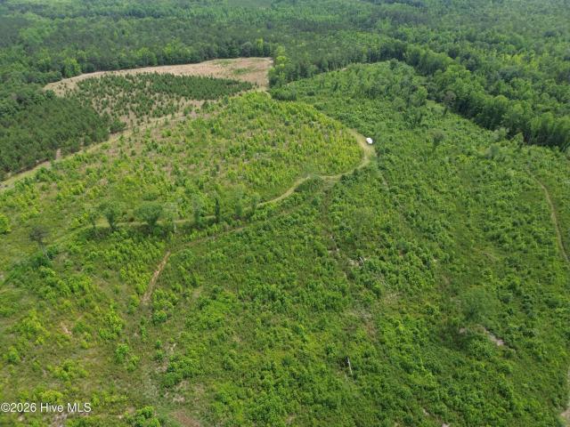 Land for sale in Stapleton, Georgia