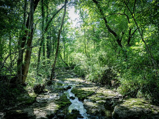 Land for sale in Tennessee