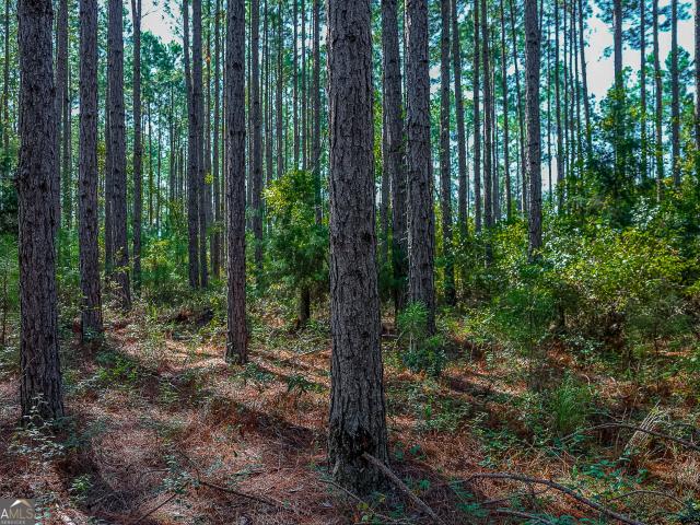 Land for sale in Damascus, Georgia