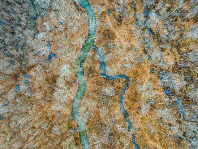 Land for sale in Tennessee