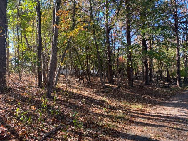 Land for sale in Virginia