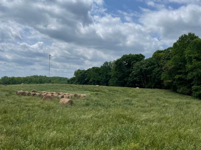 Land for sale in Sandy Cross, Royston