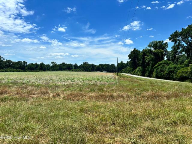 Land for sale in Snow Hill, North Carolina