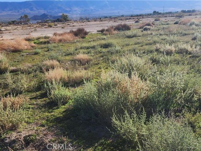 Land for sale in Lucerne Valley, California