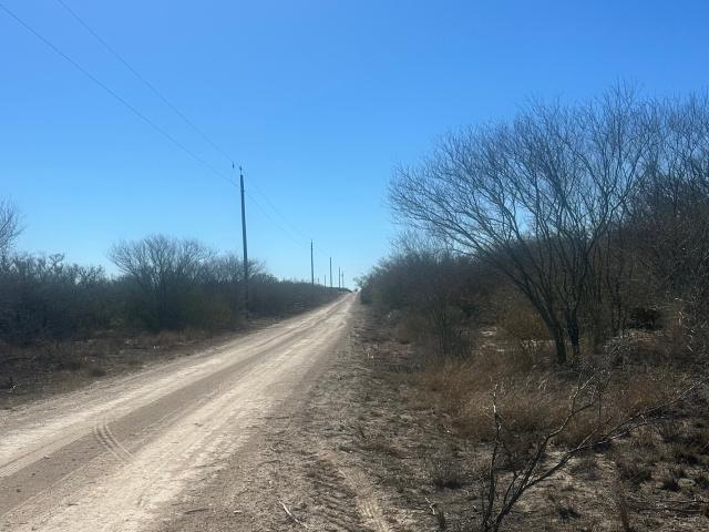 Land for sale in George West, Texas