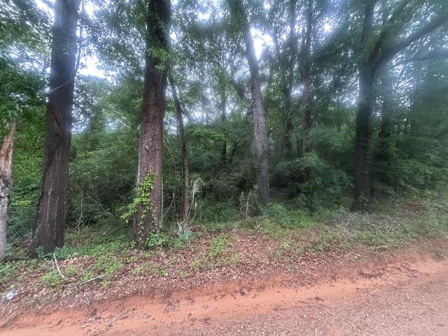 Land for sale in Cowarts, Alabama